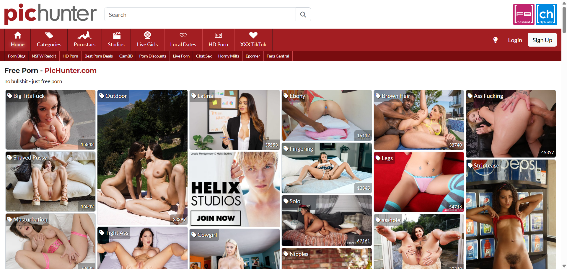 Pichunter screenshot